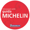 MICHELIN-LOGO-100x100