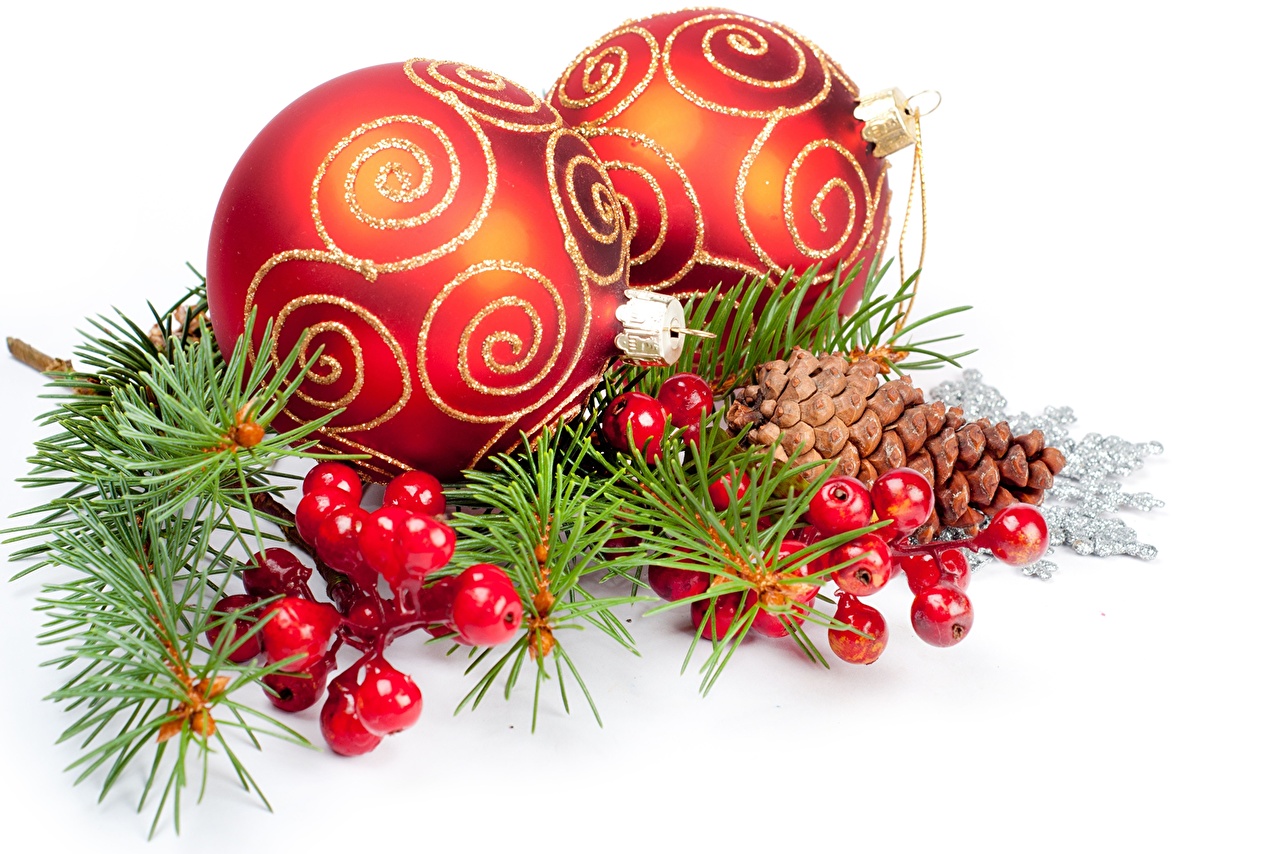 MENU DEGUSTAZIONE DEL 1 Gennaio 2018