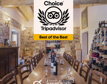 Vinto il premio Travellers' Choice 2021